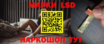 mdpv Заводоуковск