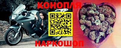mdpv Заводоуковск