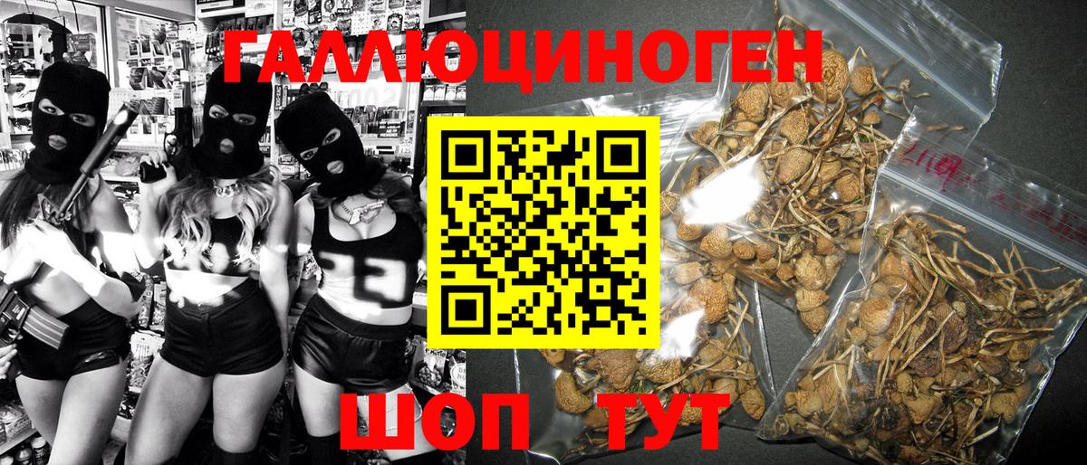 Сертолово  Псилоцибиновые грибы Psilocybe  Вход с VPN 