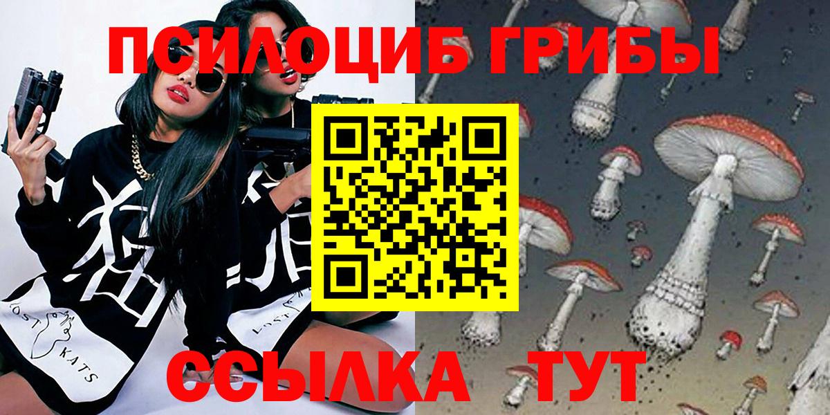 Галлюциногенные грибы Psilocybine cubensis Сертолово